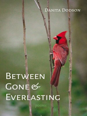 cover image of Between Gone and Everlasting